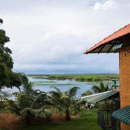 Bundala Flamingo Cotteges Hotell Hambantota Eksteriør bilde